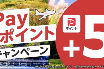 Yahoo!トラベル、JAL・ANA便利用のパック旅行でPayPayポイント5%上乗せキャンペーン開催。LYP会員は最大10%還元も